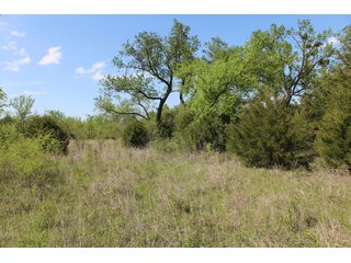 Property photo 58 - LAND AUCTION - 1,371+/- ACRES OFFERED IN 25 TRACTS IN GOLDSBY, OKLAHOMA